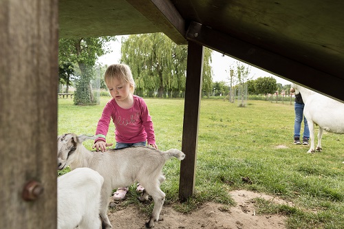 Kinderen leren over de dieren op Kinderboerderij de Beestenbende