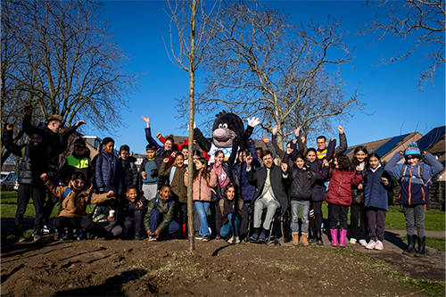 Boomfeestdag 2023: bomen langs de busbaan en in stadsbos Almeerderhout