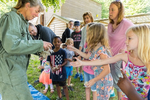 Kinderen spelen op het erf van Kinderboerderij Den Uylpark