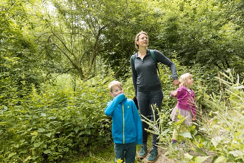 Wandelaars op pad door de natuur bij Almere