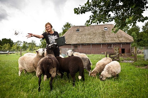 Vrijwilligers van Stad & Natuur aan het werk