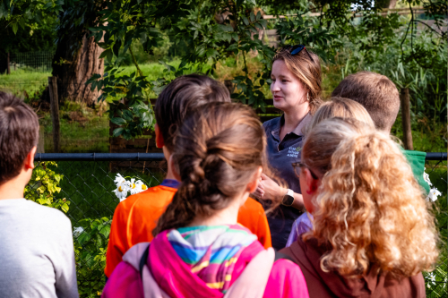 Kinderen leren over voedsel en natuur tijdens een buitenles
