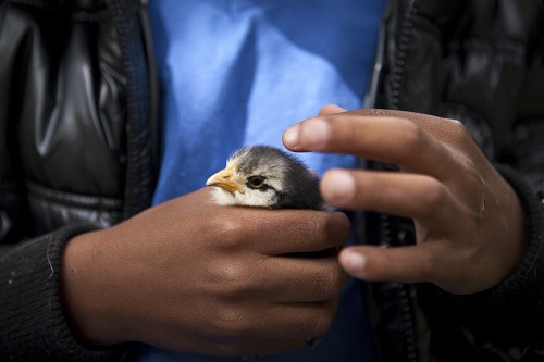 Leerlingen werken samen tijdens een aangepast natuurprogramma
