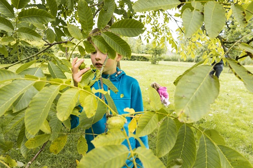 Een natuurdetective laat zijn vondsten aan leerlingen zien