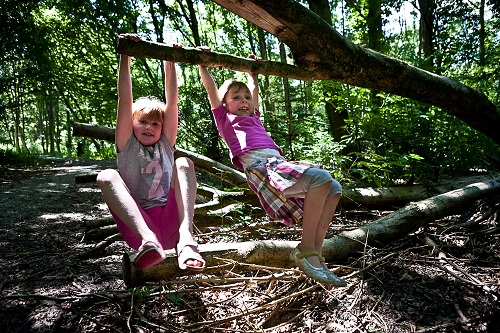 Kinderen leren over de schapen bij de Schaapskooi