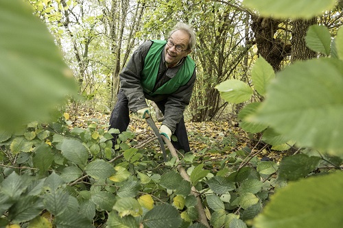 Het Vroege Vogelbos